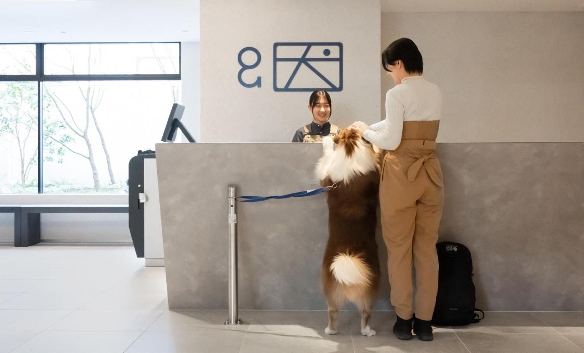 Hotel Anddoggy Kyoto Nijo Extérieur photo
