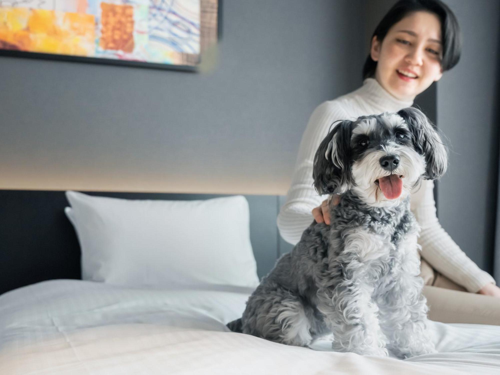 Hotel Anddoggy Kyoto Nijo Extérieur photo