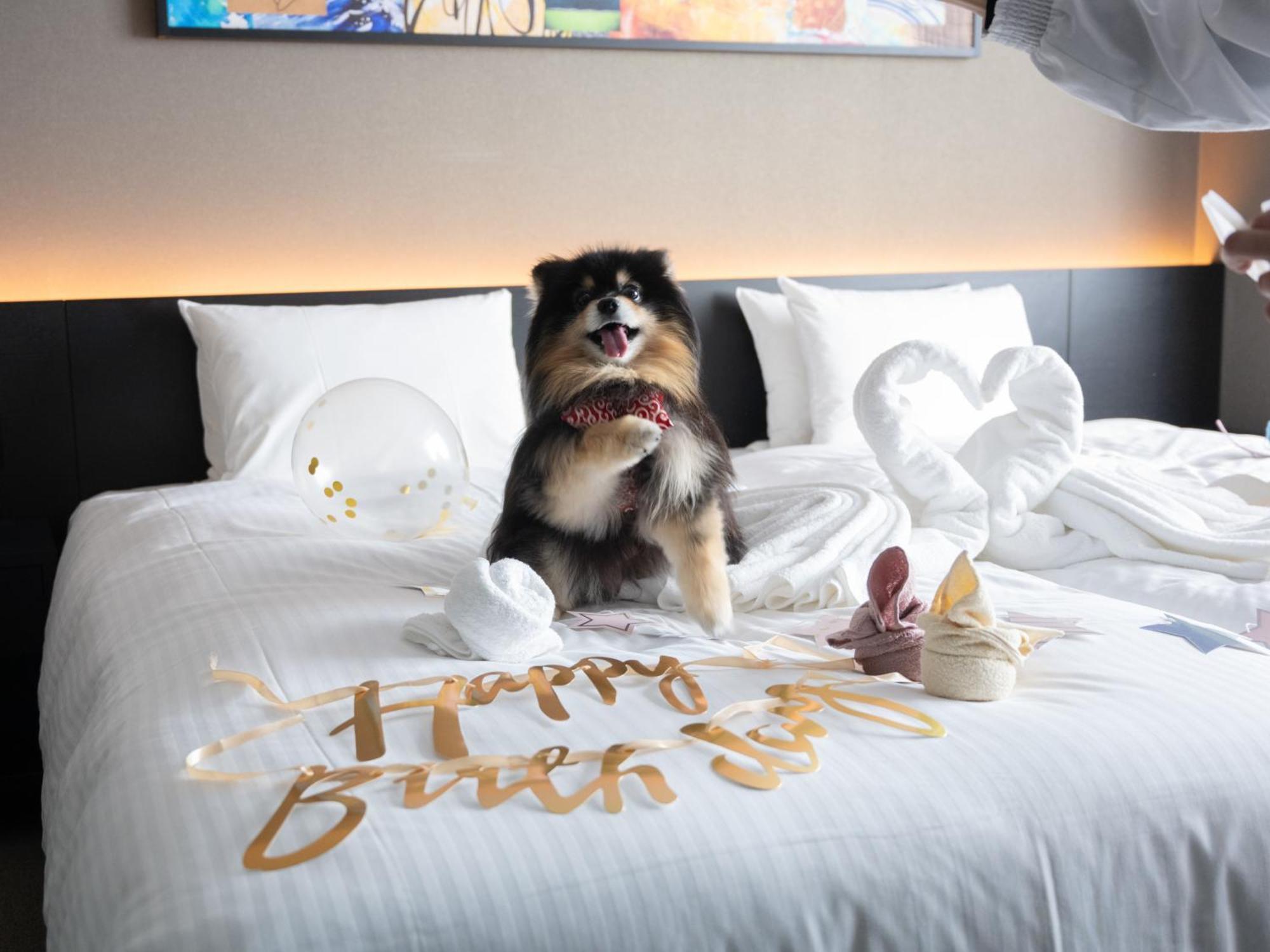 Hotel Anddoggy Kyoto Nijo Extérieur photo