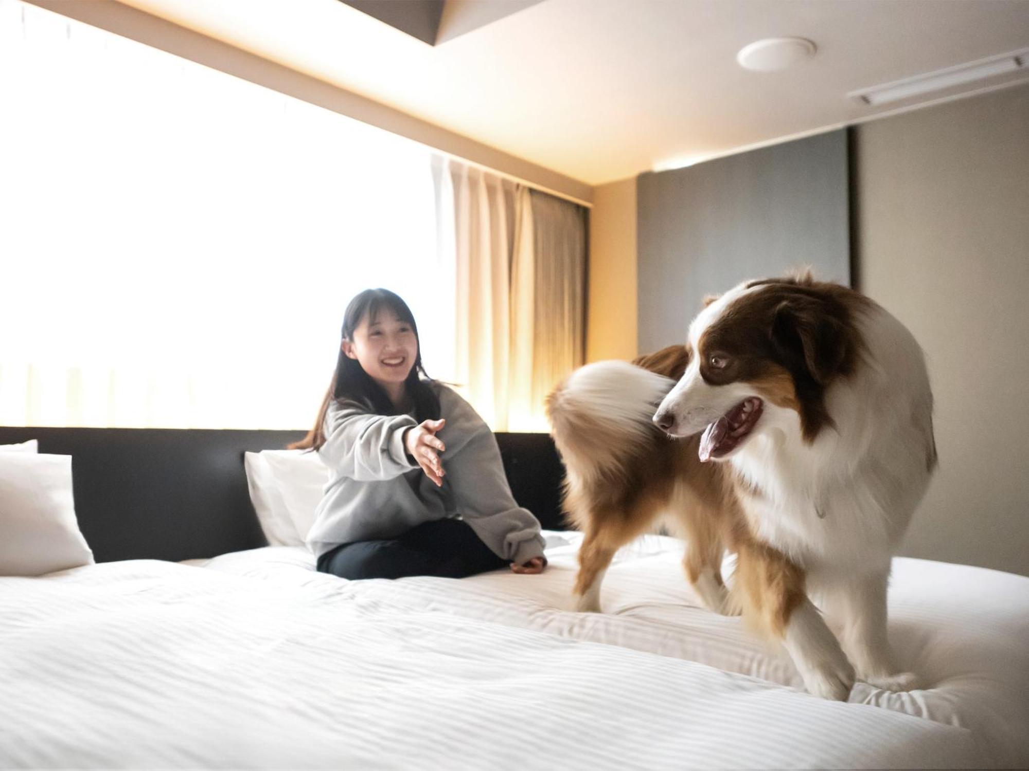 Hotel Anddoggy Kyoto Nijo Extérieur photo
